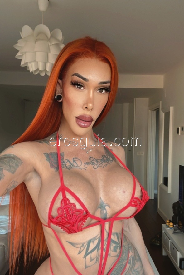 Nicky Bermúdez, escort trans in madrid Spanish