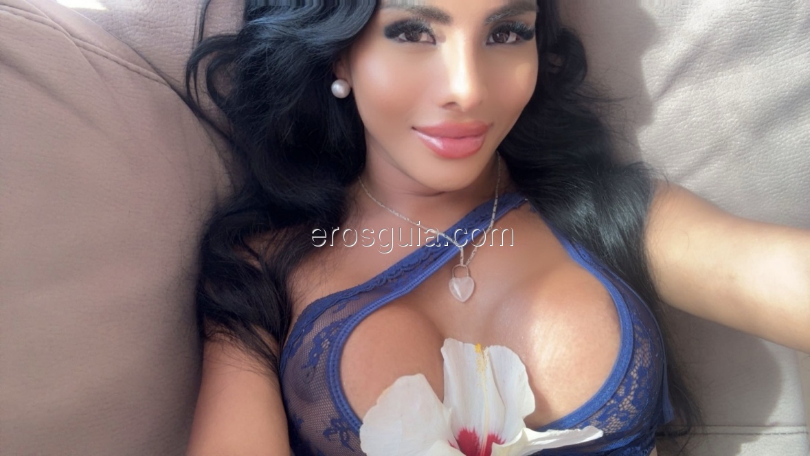 María Roy, escort trans