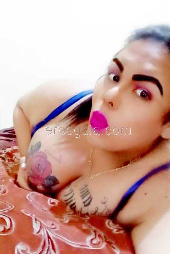 Catalina Franchesca , trans escort