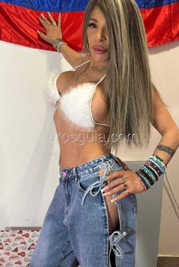 Vanessa colombiana , Colombiana