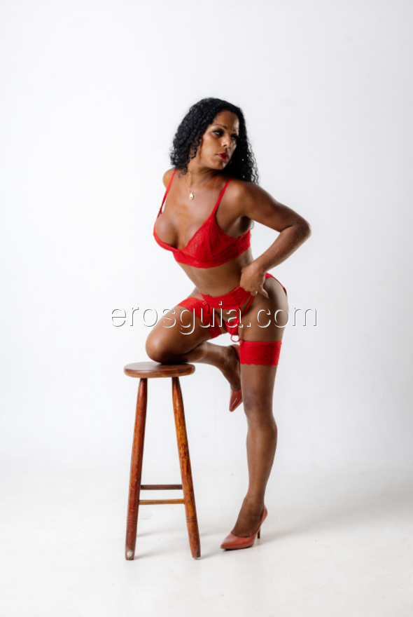 Tifany, Brasiliana